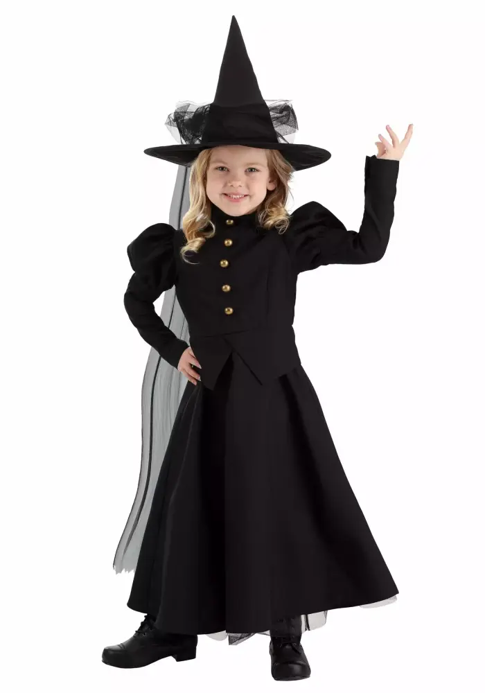 Girl's Toddler Deluxe Witch Costume Halloween Dress Up Outfit for Kids